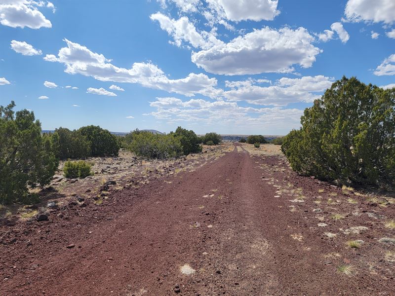 Unlimited Potential Land in Concho : Concho : Apache County : Arizona