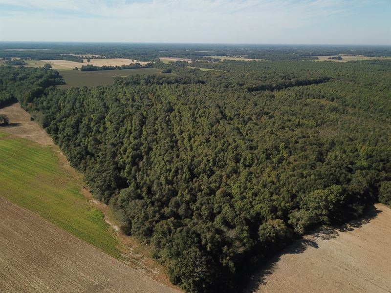 La, Franklin 60.40 Acres : Baskin : Franklin Parish : Louisiana