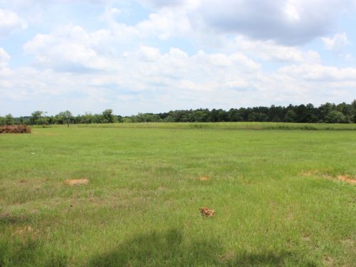 Alabama Land for Sale : Page 3 of 95 - LANDFLIP