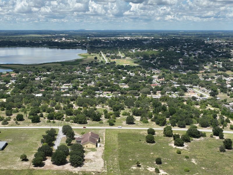 Buckmoore Heights : Lake Wales : Polk County : Florida