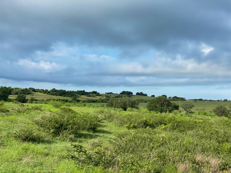 Homestead Land Near San Antonio : Yorktown : Gonzales County : Texas