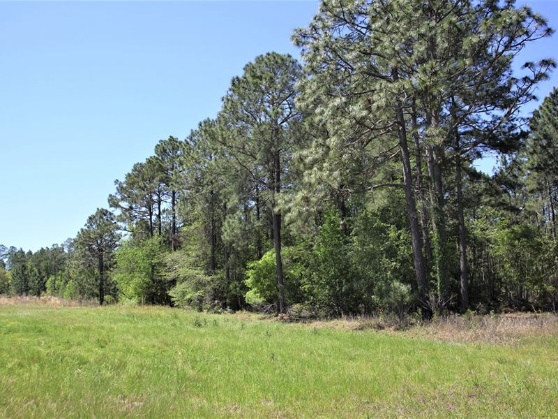 Beautiful Lot on 7 Acre Lake : Eastman : Dodge County : Georgia