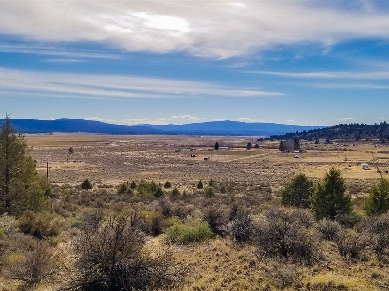 Skip & Jump to The Sprague River : Chiloquin : Klamath County : Oregon