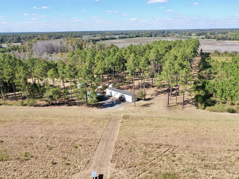 Sawyer Bear Ranch : Cordele : Crisp County : Georgia