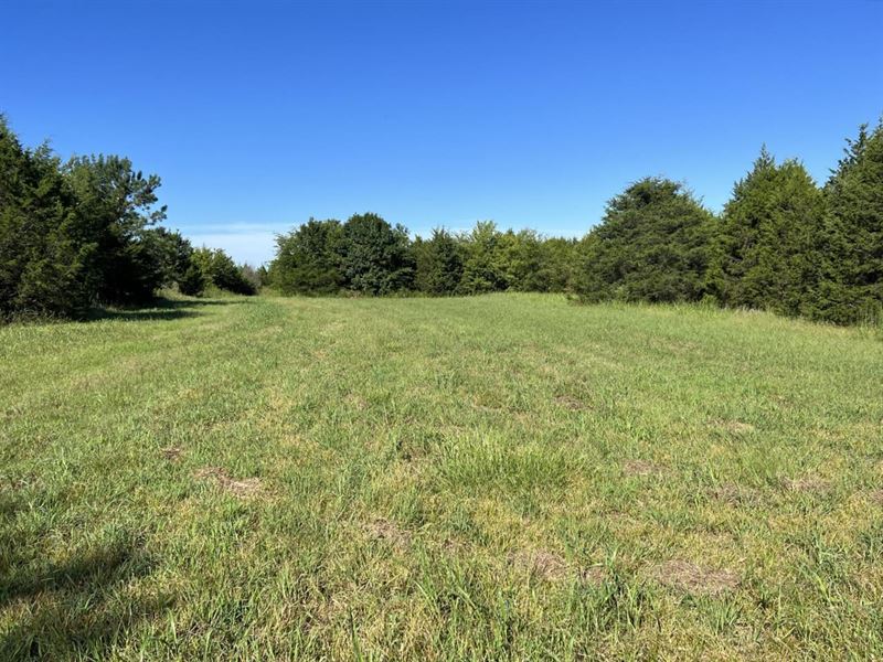 237 Acres Black Belt Hunting Proper : Marion Junction : Perry County : Alabama