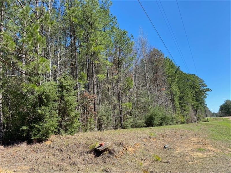 2 Residential Acre Fronting Highway : Meadville : Franklin County : Mississippi