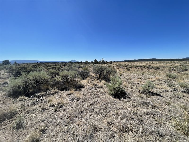 Mountains as Far as The Eye Can See : Chiloquin : Klamath County : Oregon