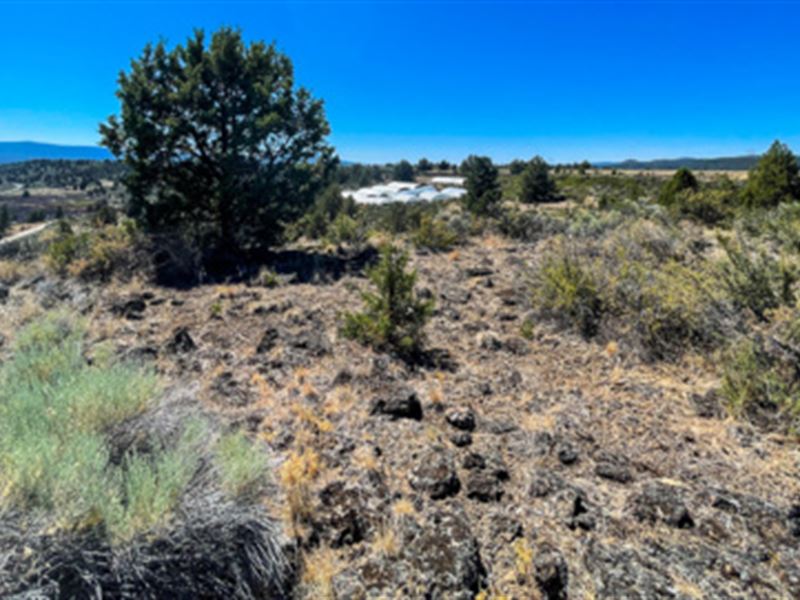 Mountains as Far as The Eye Can See : Chiloquin : Klamath County : Oregon