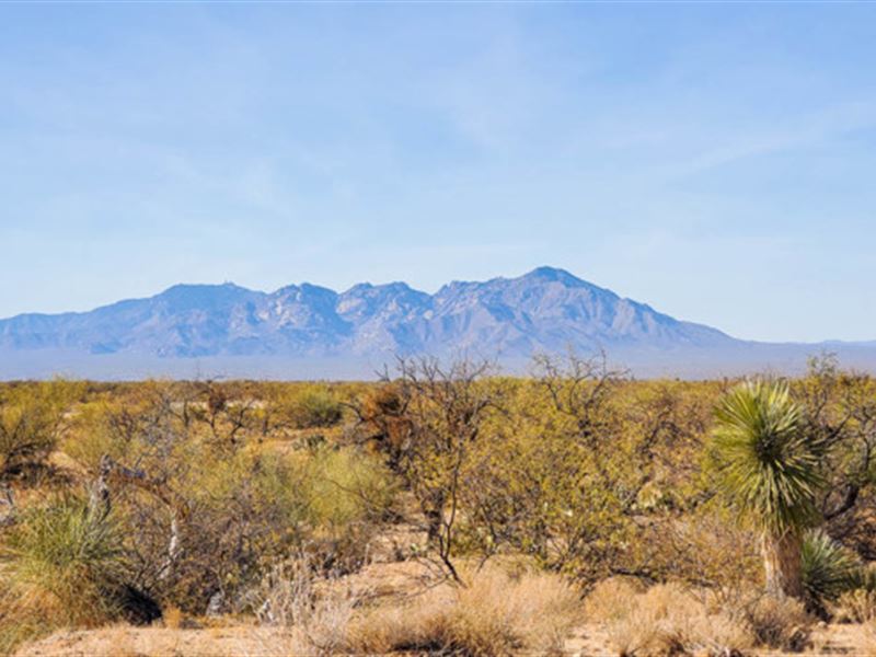 Beautiful Acre Just Outside Tucson : Tucson : Pima County : Arizona