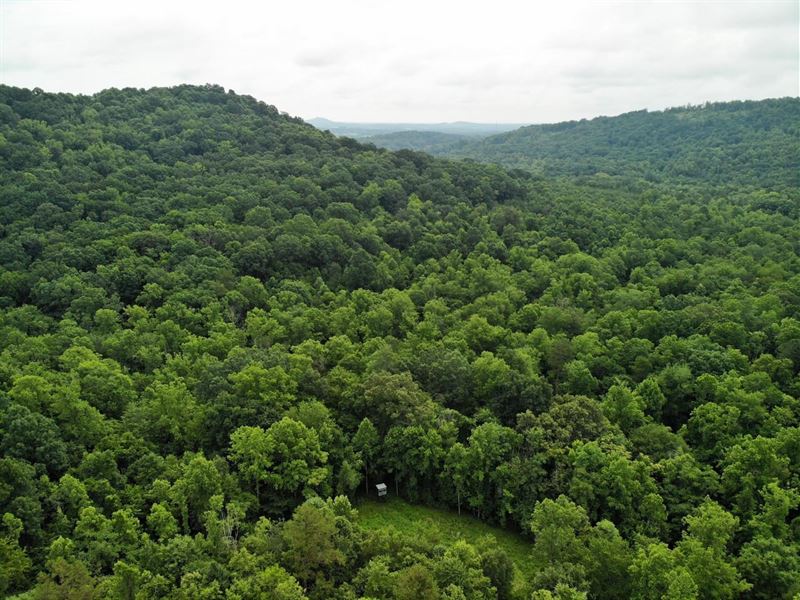 286.8 Acres Off Deliverance Bapt : Ronda : Wilkes County : North Carolina