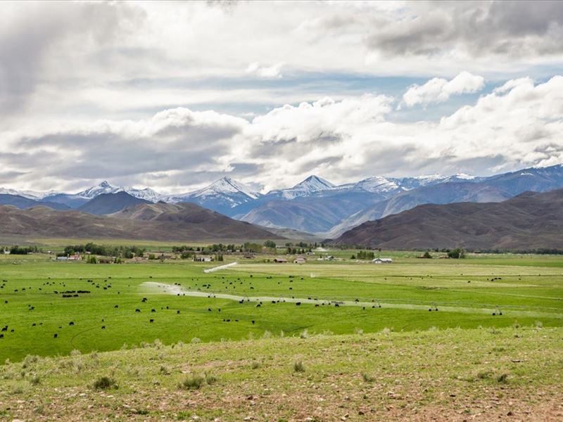 Piva Rafter P West Ranch : Challis : Custer County : Idaho