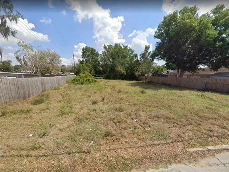 High, Dry, Clear and Level Lot : Sebring : Highlands County : Florida