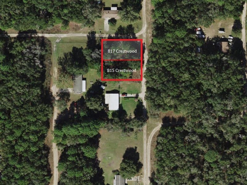 High & Dry Double Corner Lot : Inverness : Citrus County : Florida