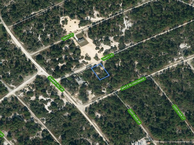 High & Dry Lot in Sun N Lakes : Lake Placid : Highlands County : Florida