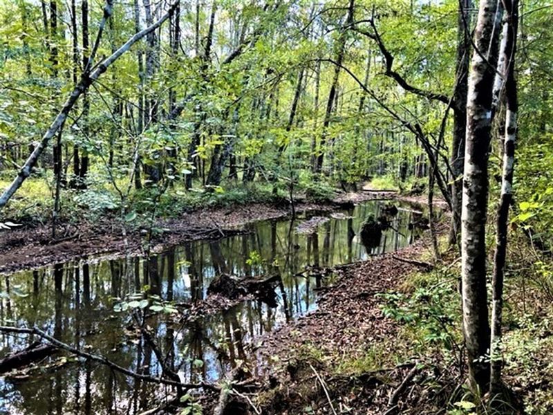 Tumkeehatchee Creek Farm : Tallassee : Elmore County : Alabama