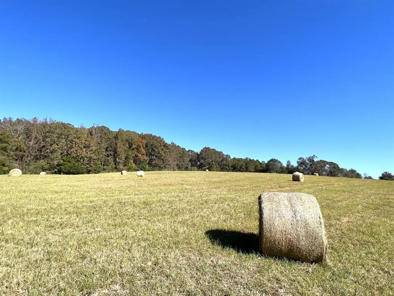 Furnance Branch Farm, 186 Acres Cat : Brierfield : Bibb County : Alabama