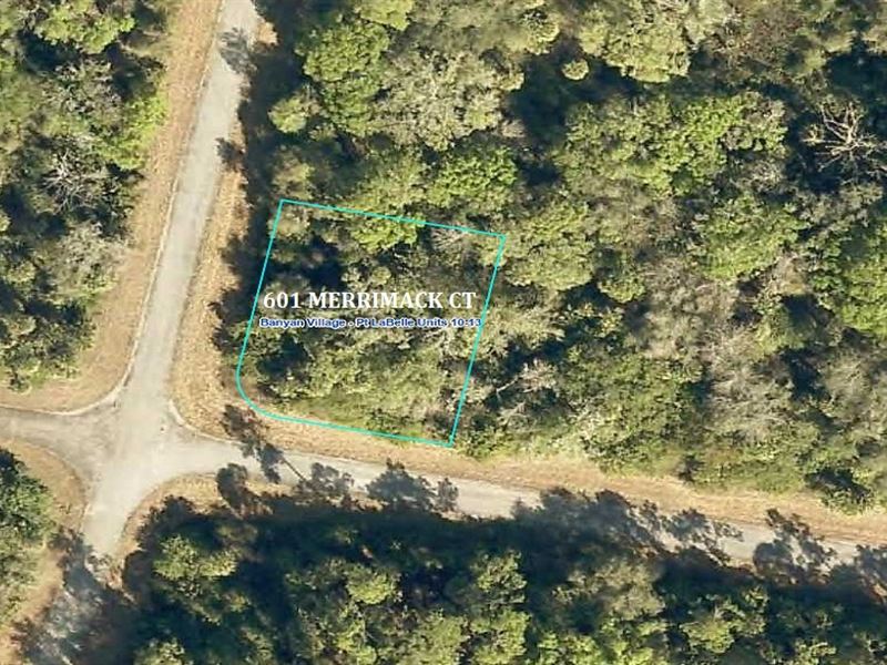 High & Dry Oversized Corner Lot : Port Labelle : Hendry County : Florida