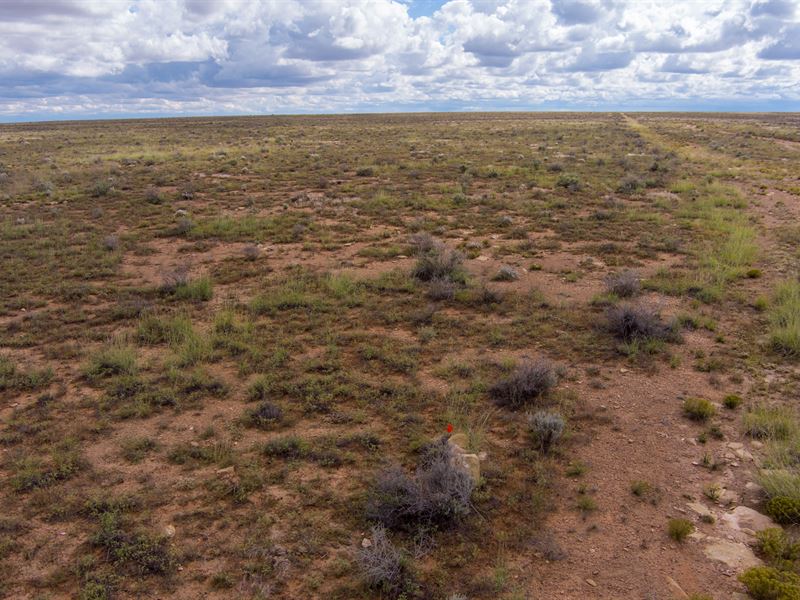 Live on Your Own 40 Acre Land : Winslow : Navajo County : Arizona