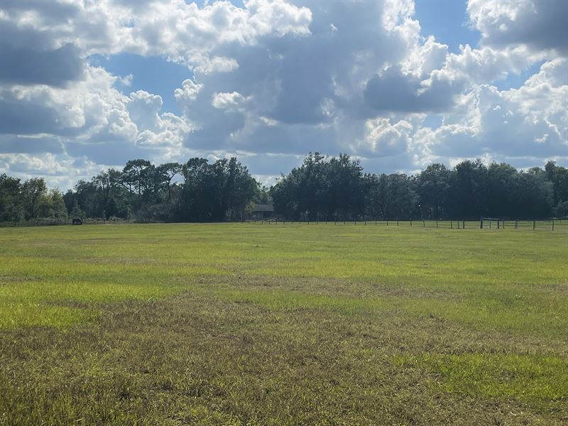 5 Acres Next to State Forest : Brooksville : Hernando County : Florida