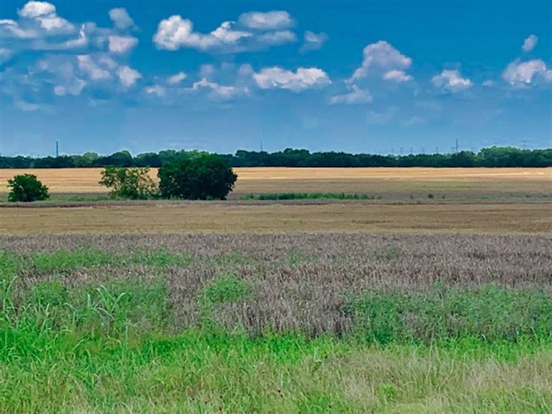 Owner Financed 1.55 Acres Near Dfw : Royse City : Collin County : Texas