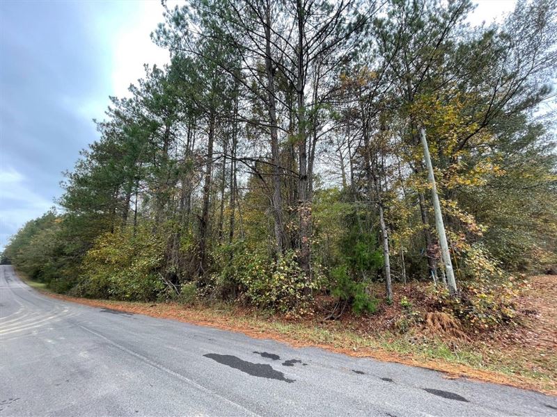 2.8 Acre Residential Lot Deerfield : West Point : Clay County : Mississippi