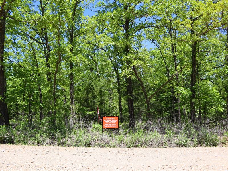 https://www.landflip.com/photos/337351/53-acre-unrestricted-double-lot-vian-cherokee-county-oklahoma-337351-iuvsr6-xl.jpg