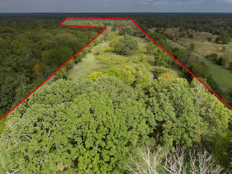 46 Acres & Mature Trees : Clarksville : Red River County : Texas