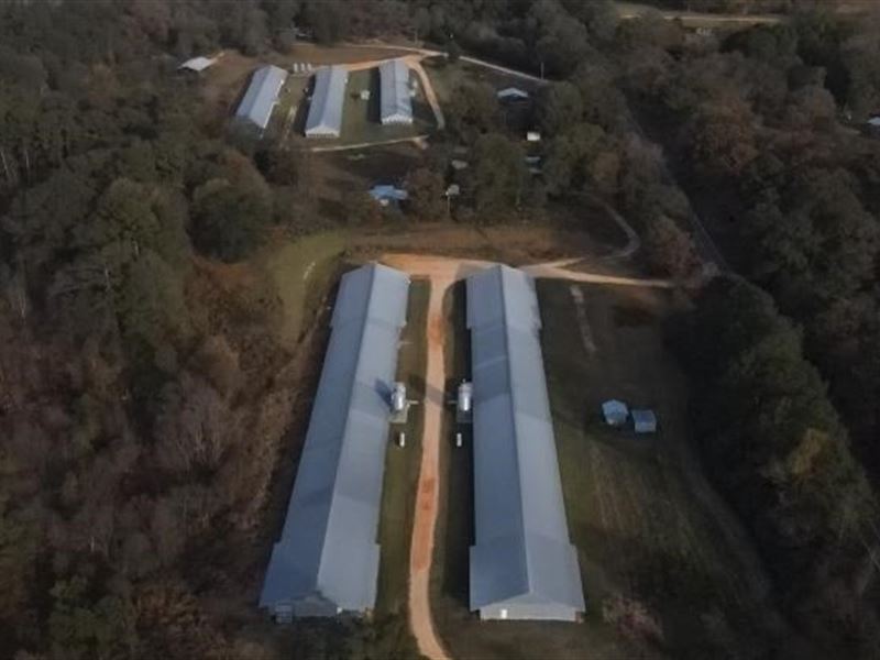 36 Acres with 5 Broiler Houses Chi : Morton : Smith County : Mississippi