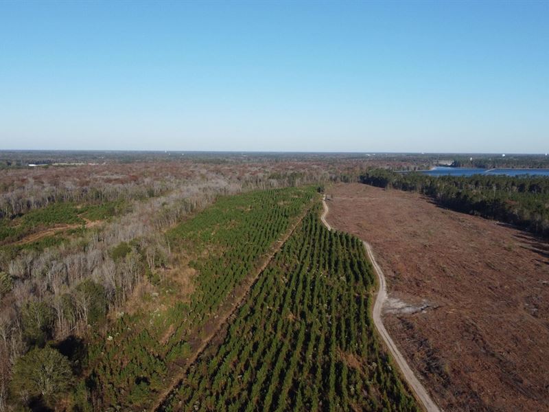 Lumber River Tract : Lumberton : Robeson County : North Carolina