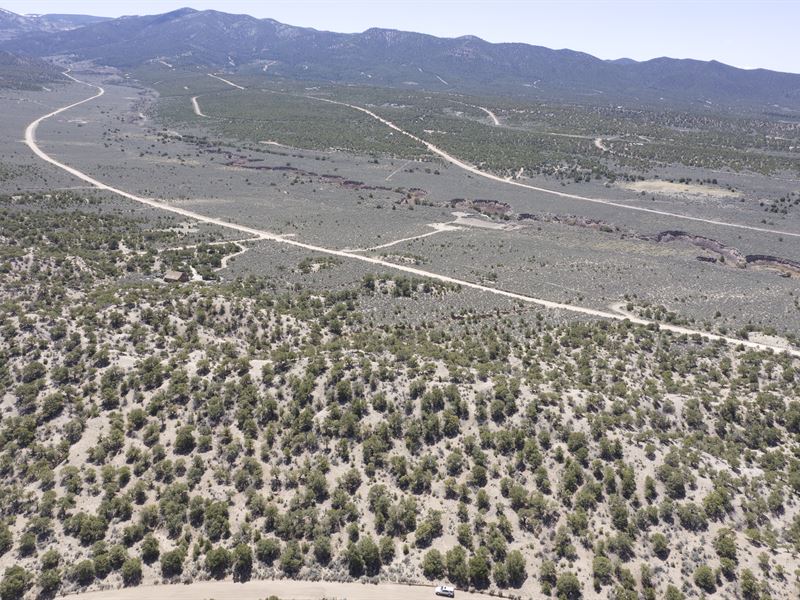 Trees and Mountain Views in Sdcr : Fort Garland : Costilla County : Colorado