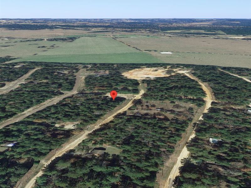 Off-Grid Paradise on 0.16 Acre : Ivanhoe : Tyler County : Texas