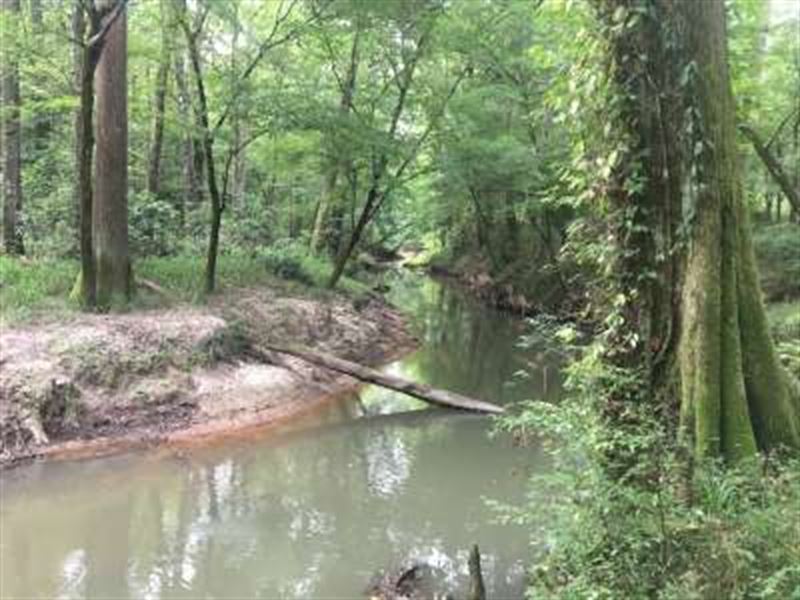 George Lee Road : Easleyville : Saint Helena Parish : Louisiana