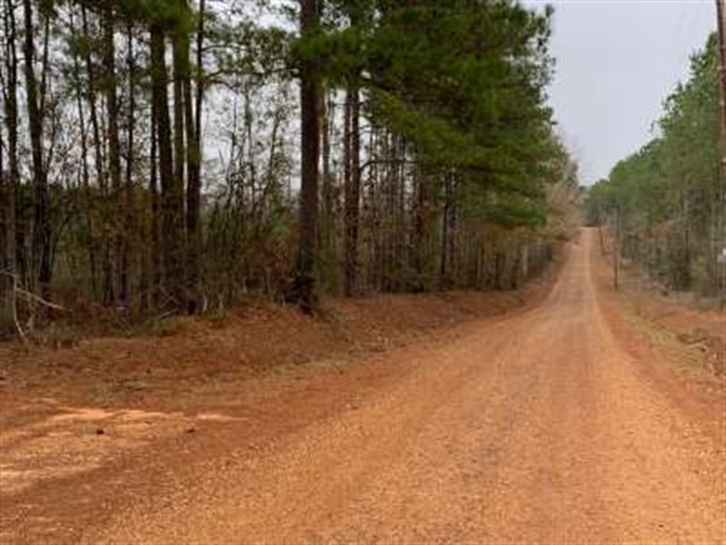 Black Creek Split East : Greensburg : Saint Helena Parish : Louisiana