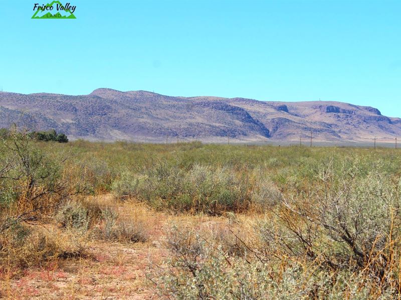 Huge Recreational Lot, Off-Grid : Deming : Luna County : New Mexico