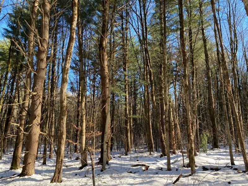 Stone Hill Cabin Lot : Williamstown : Oswego County : New York