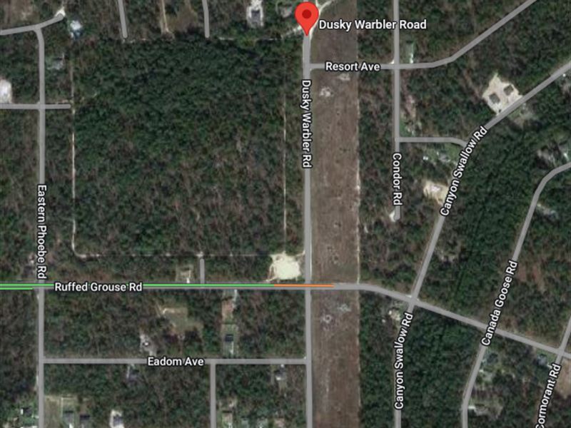 .56 Ac, Seller Financing : Brooksville : Hernando County : Florida