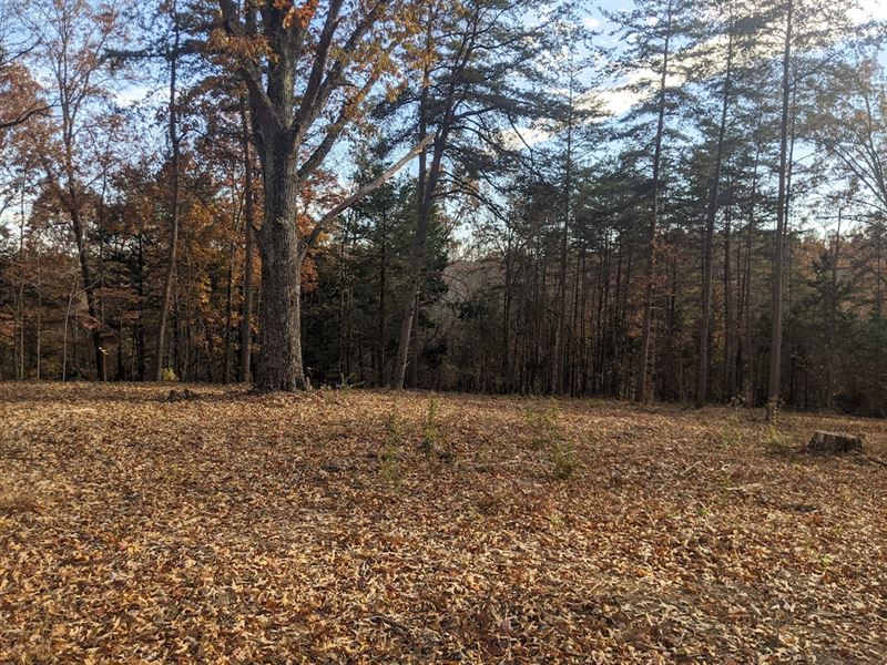 3.06+/- Acres : Burkesville : Cumberland County : Kentucky