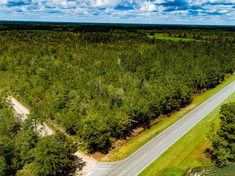 21.24+/- Acres, Byrd Rd : Surrency : Appling County : Georgia