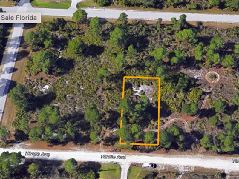 .19 Acre Wooded Lot : Punta Gorda : Charlotte County : Florida