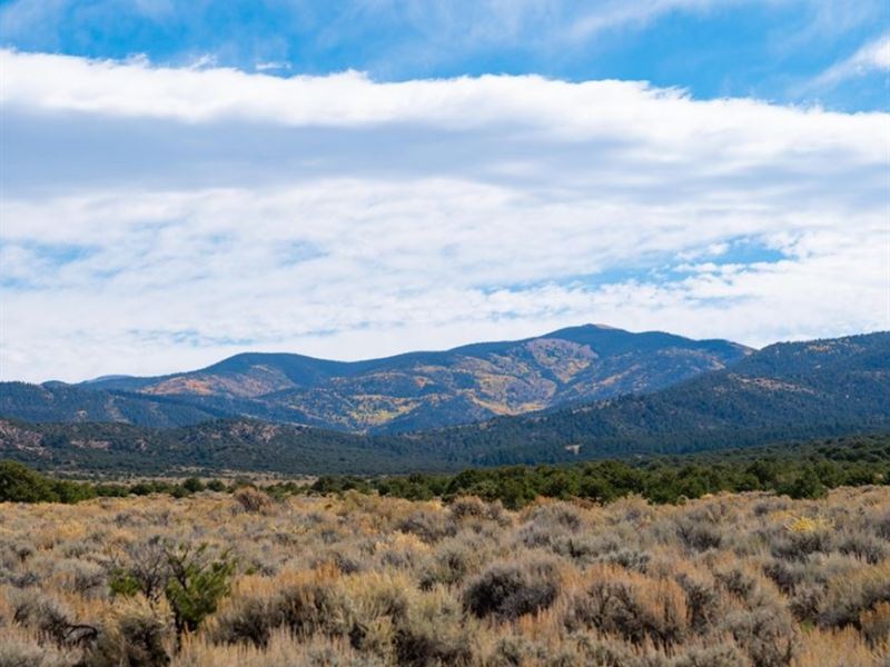 5 Acre in Costilla County, CO : Blanca : Costilla County : Colorado