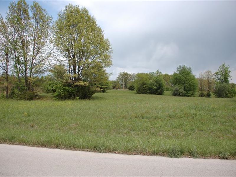 Commercial Land, 3 Sides Paved : West Plains : Howell County : Missouri