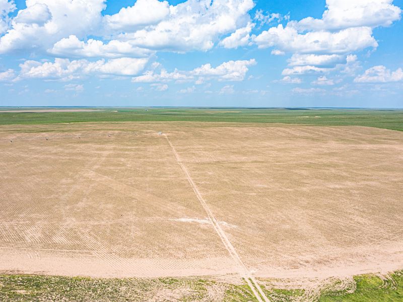 Washington County Irrigated Farm : Cope : Washington County : Colorado