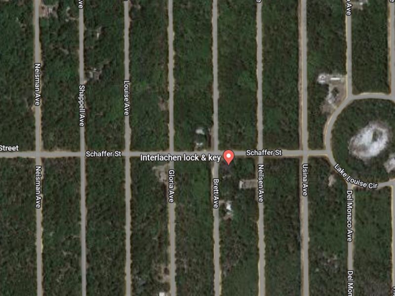 Sellers Financing, $149 Monthly : Interlachen : Putnam County : Florida