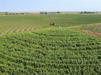 160.76 Acre Irrigated Farm for Sale : Cheraw : Otero County : Colorado