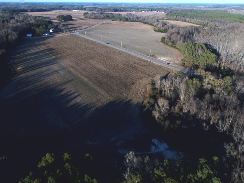 Farm, Possible Home Site, Horses : Rowland : Robeson County : North Carolina