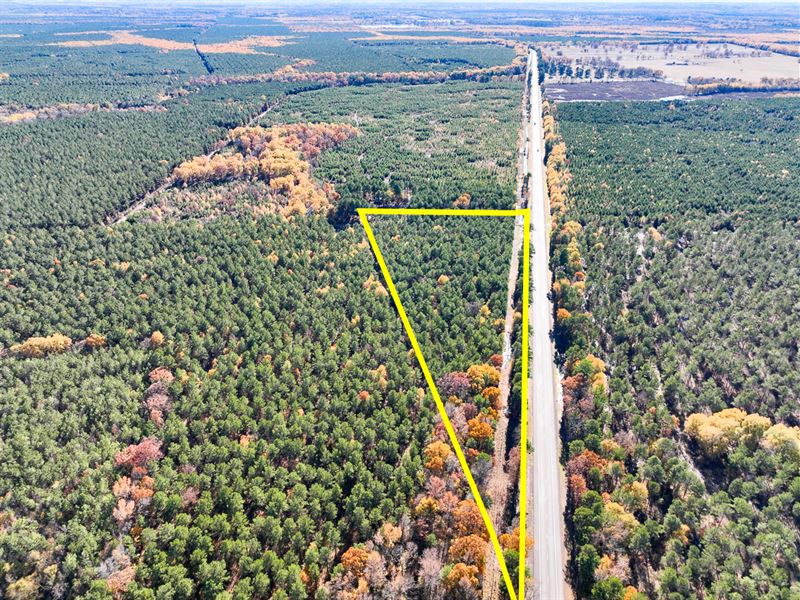 23 Acres, Hwy 37, T-7 Kiskadee : Albion : Red River County : Texas