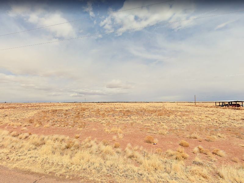 Own Land in Sun Valley, $97 a Month : Holbrook : Apache County : Arizona