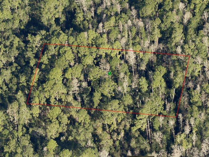 1.25 Acres of Recreational Land : De Leon Springs : Volusia County : Florida