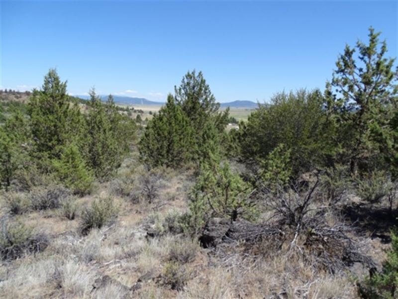 Skip & a Jump to The Sprague River : Chiloquin : Klamath County : Oregon