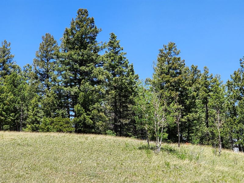 Not Part of Any Subdivision : Cripple Creek : Teller County : Colorado